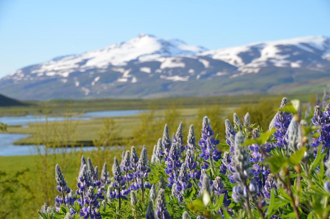 Asholl Guesthouse - Farmstay Akureyri Eksteriør bilde