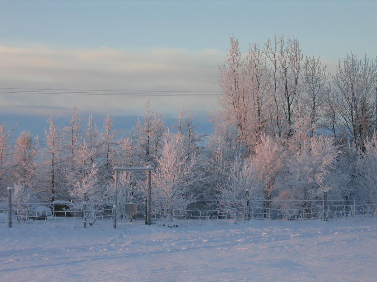 Asholl Guesthouse - Farmstay Akureyri Eksteriør bilde